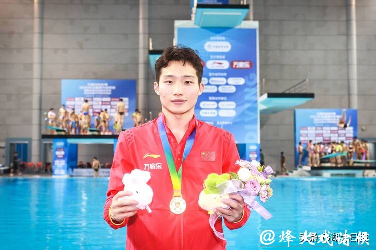 全运会跳水男子3米板决赛 王宗源强势夺冠